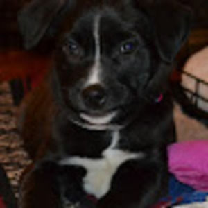 Meet your Posher, Barb